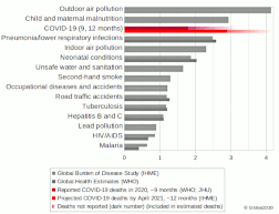 Bar diagram on deaths from COVID-19 and other global challenges. 