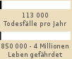 Balkendiagramm: 113 000 Todesflle pro Jahr, 850 000 bis 4 Millionen Leben gefhrdet 