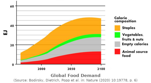 Global food demand 1960-2100. 